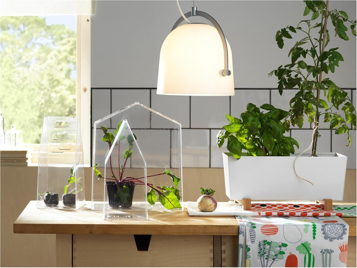 BITTERGURKA Plant pot, white, 12 ½x6 "