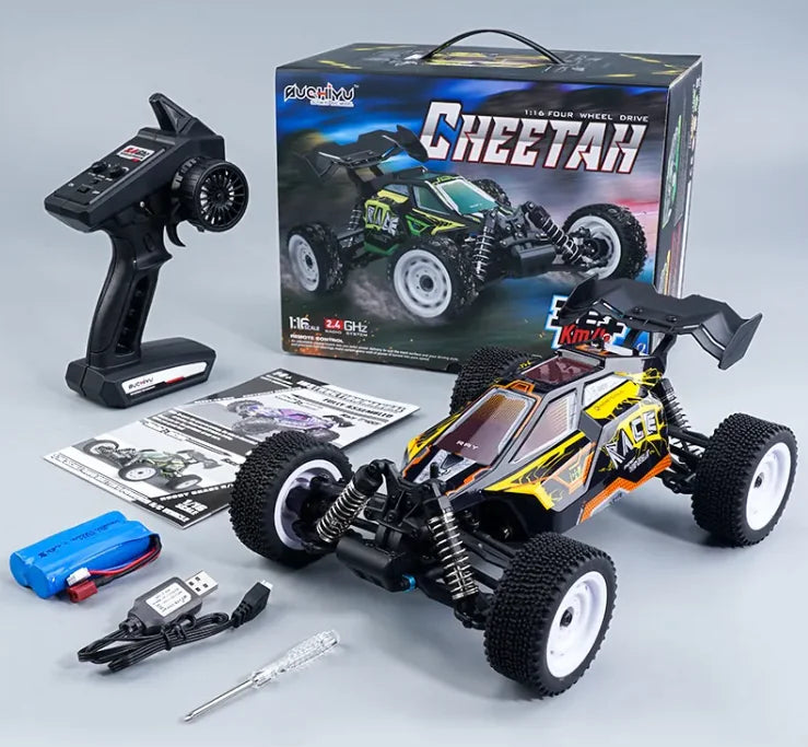 Remote Control Brushless High-speed Off-road Vehicle Model