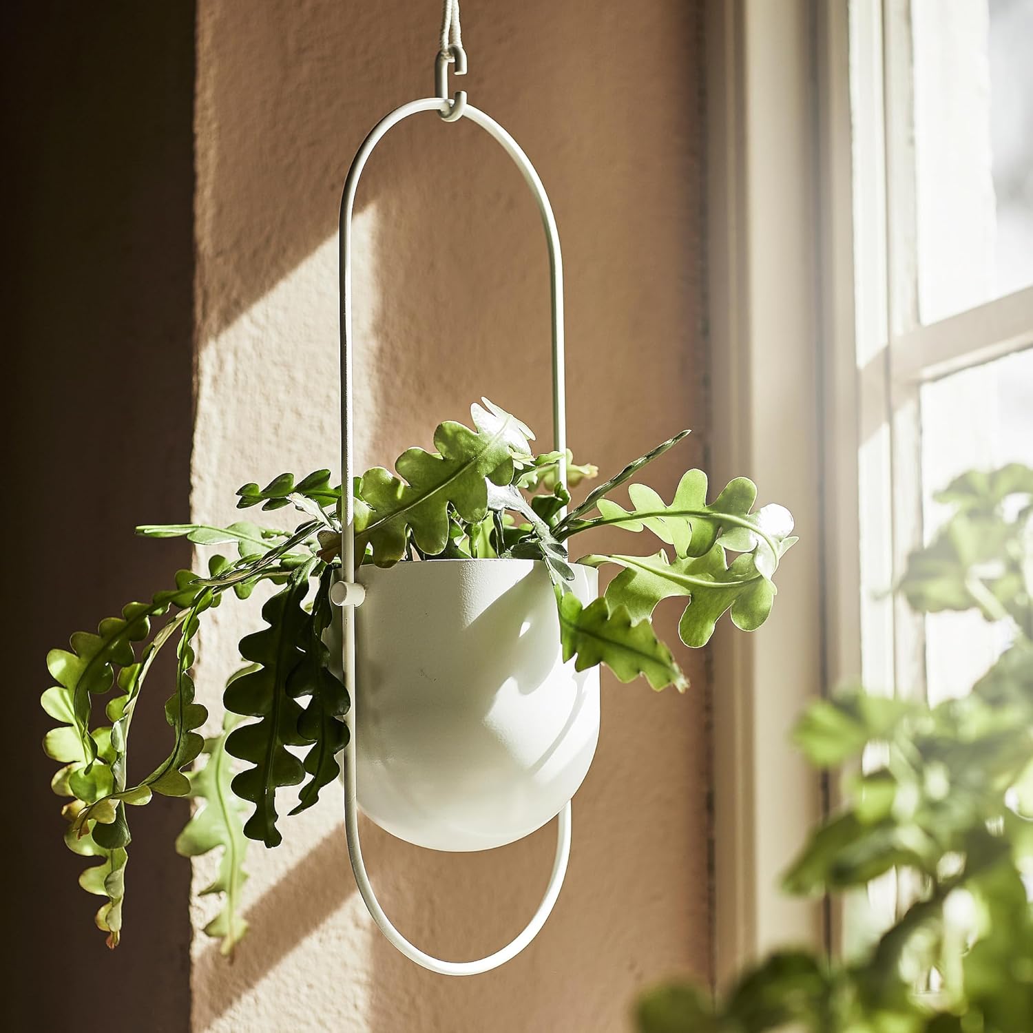 CHILISTRÅN Hanging planter, indoor/outdoor white, 4 ¾ "