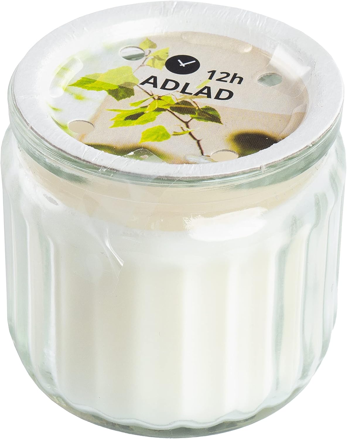 ADLAD White Mini Scented Candles in Glass Jars, Scandinavian Woods & Citrus, 12 Hours Each - Set of 8