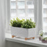 BITTERGURKA Plant pot, white, 12 ½x6 "