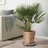 FRIDFULL Plant pot, water hyacinth, 9 ½ "