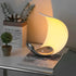 Italian Crescent Moonlight Reading Desk Lamp